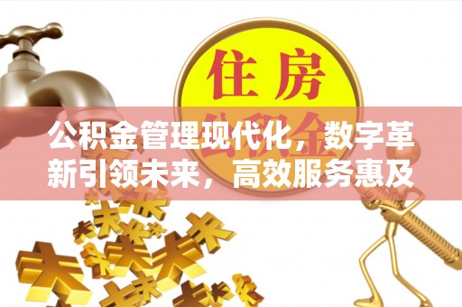 北戴河公积金管理现代化，数字革新引领未来，高效服务惠及民生