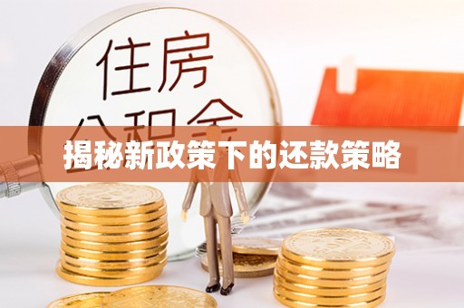 北戴河揭秘新政策下的还款策略