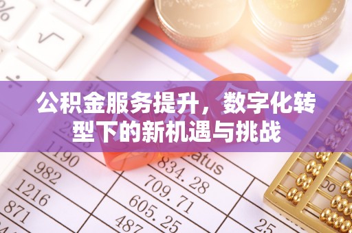 北戴河公积金服务提升，数字化转型下的新机遇与挑战