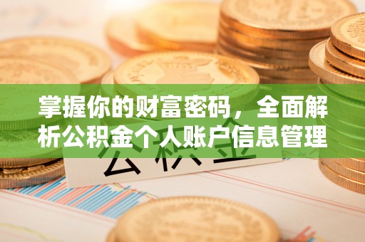 北戴河掌握你的财富密码，全面解析公积金个人账户信息管理与优化
