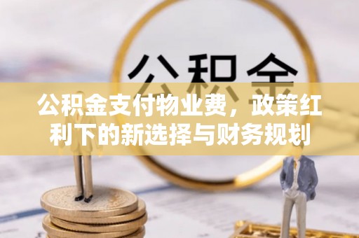 北戴河公积金支付物业费，政策红利下的新选择与财务规划