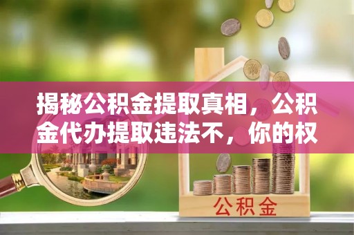 北戴河揭秘公积金提取真相，公积金代办提取违法不，你的权益如何保障？
