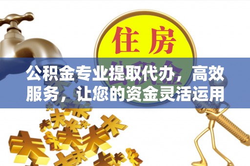 北戴河公积金专业提取代办，高效服务，让您的资金灵活运用
