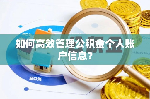 北戴河如何高效管理公积金个人账户信息？