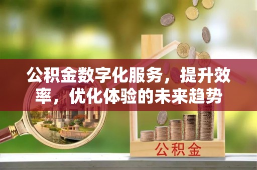 北戴河公积金数字化服务，提升效率，优化体验的未来趋势