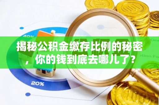 北戴河揭秘公积金缴存比例的秘密，你的钱到底去哪儿了？