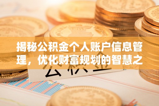 北戴河揭秘公积金个人账户信息管理，优化财富规划的智慧之选